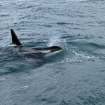 Photo taken by Lynn H