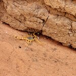 Photo taken by Kim M