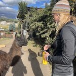 Photo taken by Tara O