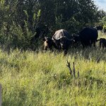 Photo taken by Crystall P