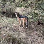 Photo taken by Gabrielle A