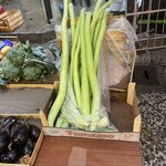 Photo taken by Cecilia M