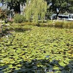 Photo taken by susan s