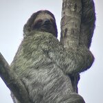 Photo taken by Ora Y