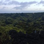 Walk from the Silica Hotel to the Blue Lagoon. Volcanic rock covered in moss | Photo taken by Marisa K