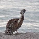 Photo taken by Natascia V