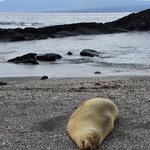 Photo taken by Joseph P