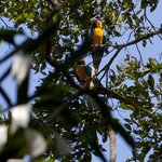 Photo taken by Sabine V