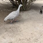 Photo taken by William F