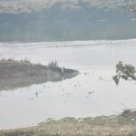 Photo taken by Cayden S