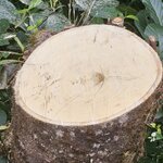 Photo taken by Touraj K