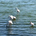 Photo taken by Michael G