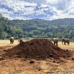 Photo taken by Megan H