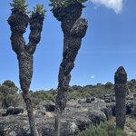 Photo taken by Michael L