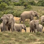 Photo taken by Martin D