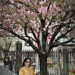 Photo taken by Sailesh P