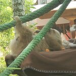 Photo taken by Tracye P