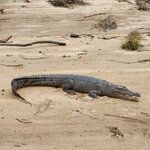 Photo taken by Jolene M