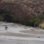 Photo taken by Jenny P