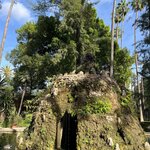 Photo taken by Joey R