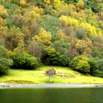 Cruise - Fall  | Photo taken by Robin W