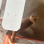 Photo taken by Lisa G