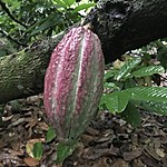 Photo taken by Michelle D