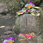 Photo taken by wendi r