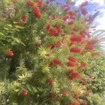 Photo taken by Gary G