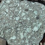 Photo taken by Dawn S