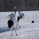 Photo taken by Iain M