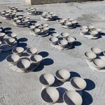 Photo taken by Thomas N