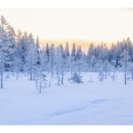 Photo taken by Ann B