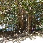 Photo taken by alex p