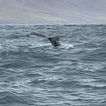 Photo taken by Nan K