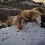 Photo taken by Patricia K