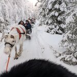 Photo taken by Anna P