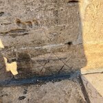 Photo taken by Raquel K