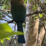 Photo taken by Bert B