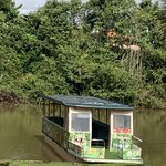 Photo taken by Karen P