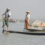 Photo taken by Terri M