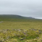 Photo taken by Stephanie S