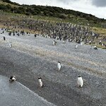 Photo taken by vedamoorthy s