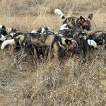 Photo taken by Paul B