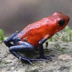 Photo taken by Joyce C