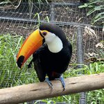 Photo taken by Andrew S