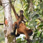 Photo taken by Graeme W