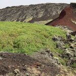 Photo taken by Tim Z