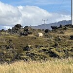 Photo taken by Pamela C