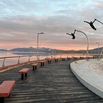 Photo taken by lynn o